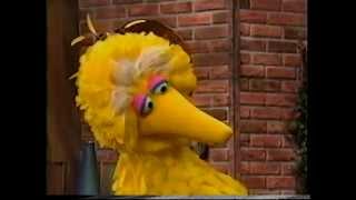 sesame street bird flu memory birds