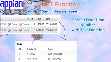 TEXT Function | A function which formats the value | Important Appian Function