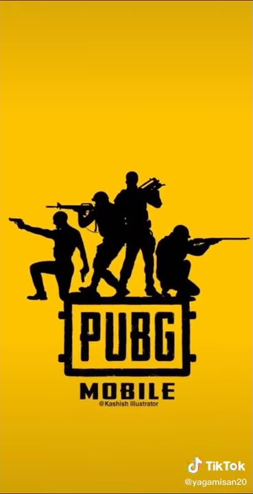 Status Pubg 30 detik