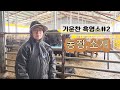 [기운찬흑염소농장] 농장소개 #2