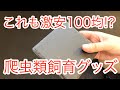 爬虫類飼育者さん必見！100均の便利なグッズを紹介します