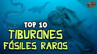 Top 10: Tiburones fósiles RAROS