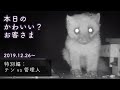 【特別編】『テンvs管理人』本日のかわいい?お客さま 2019/12/26〜2020/04