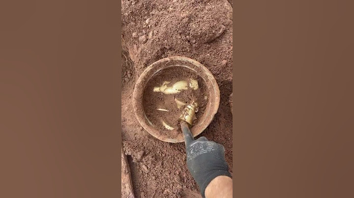 I Found Ancient Egyptian Treasure