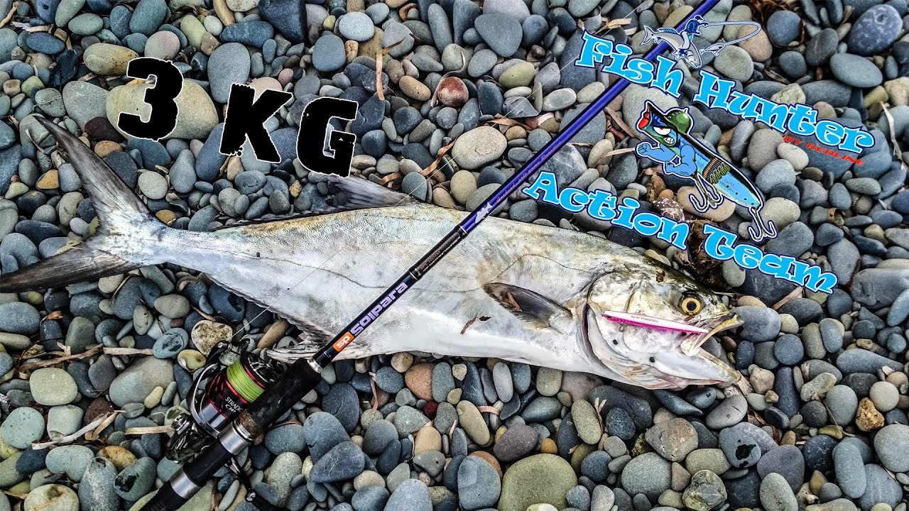 Fish Hunter Spinning Team Paphos Cyprus 2018 Fishing Highlights Catch