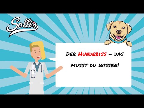 Hundebiss | Was jetzt zu tun ist