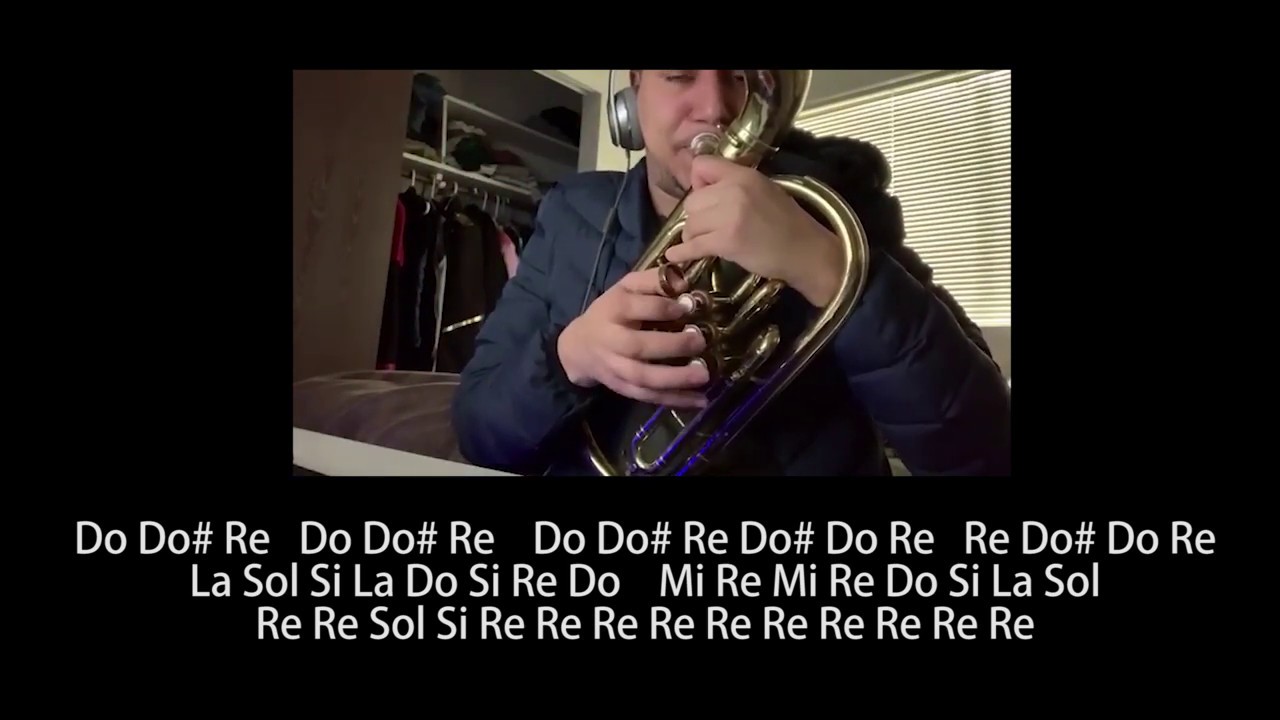 Tutorial Saxor Adornos de el son jucutacato Banda los oxapens Alto