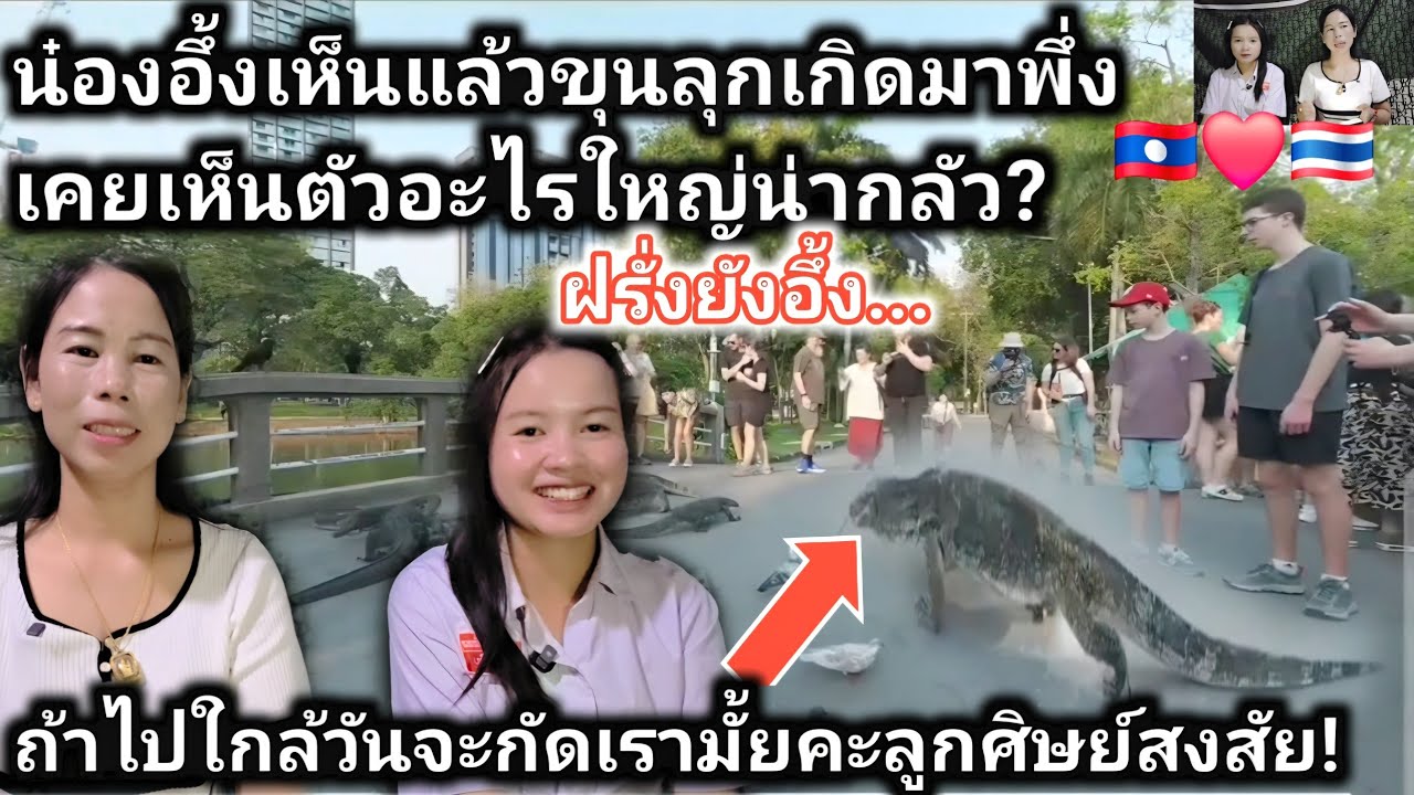 ลูกศิษย์ครูสาวลาวอึ้งเกิดมาพึ่งเคยเห็นน้องวรนุชที่ประเทศไทย #ฝรั่งต่างชาติยังตะลึงน้องไม่กลัวคน...?