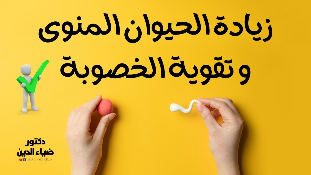 أطعمة لزيادة الحيوان المنوى و تقوية الخصوبة