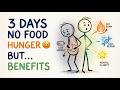 3 Days of Fasting The Brutal Hunger and the Unexpected Gifts