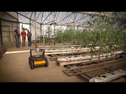 Video: Informazioni sull'olericoltura: scopri l'importanza dell'olericoltura