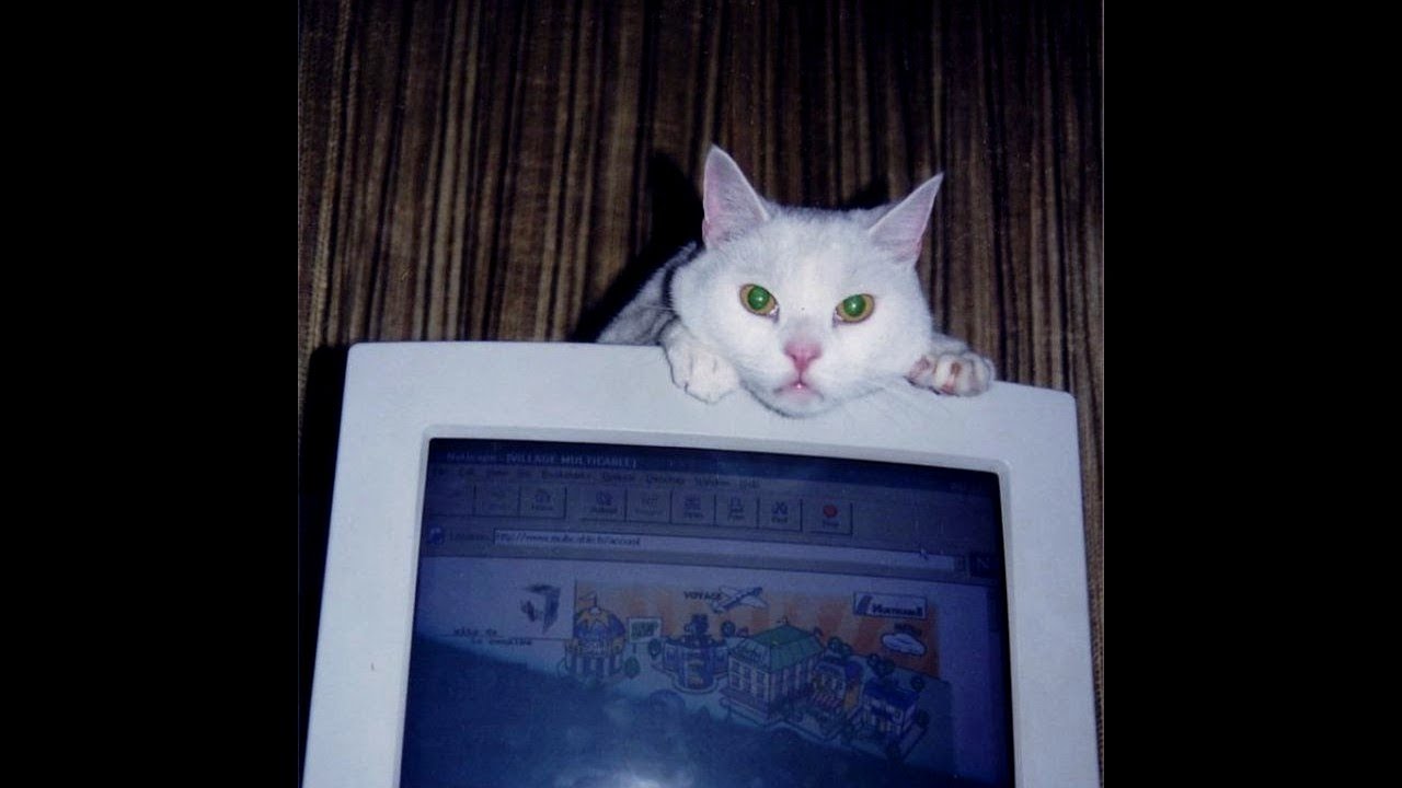 (free) alex g + wifiskeleton + pinegrove type beat 'SLEPT ON HER FLOOR'