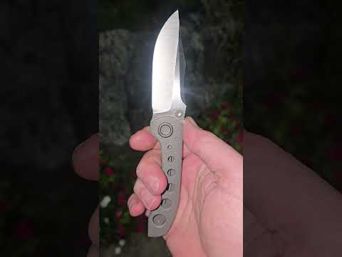 Brian Brown Knives Raptor m390