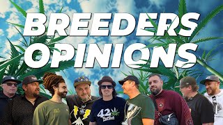 Breeders Opinions at Spannabis | Strain Hunters | Mephisto Genetics | The Humboldt seeds and more