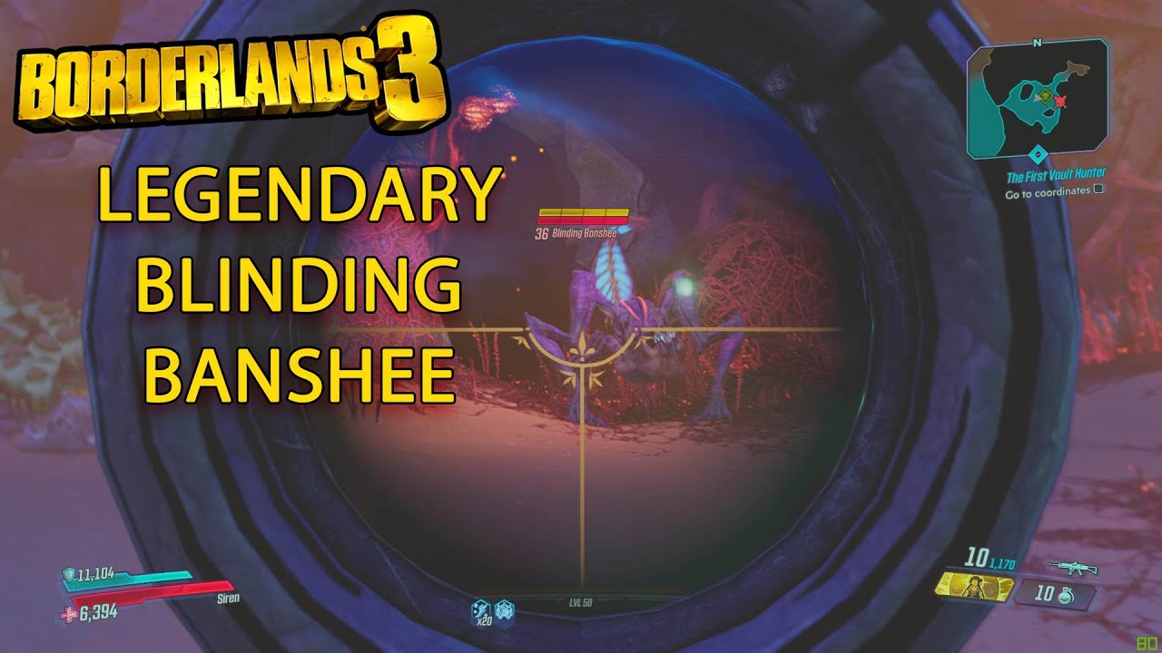 Borderlands 3 Legendary Hunt "Desolation's Edge" Blinding Banshee | Borderlands 3 Crew Challenge