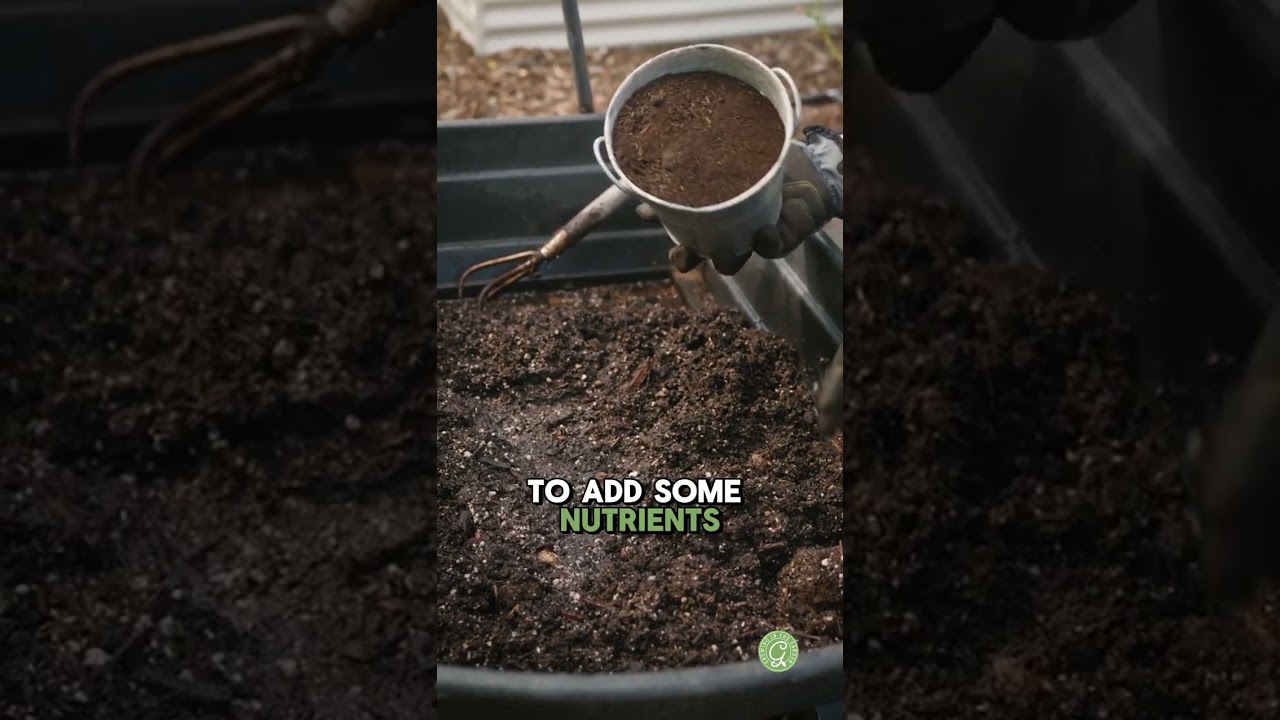Can You REUSE Potting Soil? - YouTube