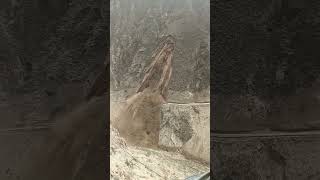 💢滑坡现场太震撼了！Shocking！The Landslide Scene #Animal 【跟着图尔去旅行】