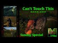 The Isle Evrima - Can&#39;t Touch This - Sunday Special - Update 4.1, 4.5, 4.75 - Pachycephalosaurus