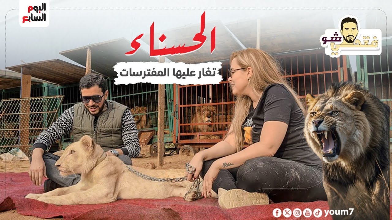 لحظة دخول النمر المفترس على المذيع.. 