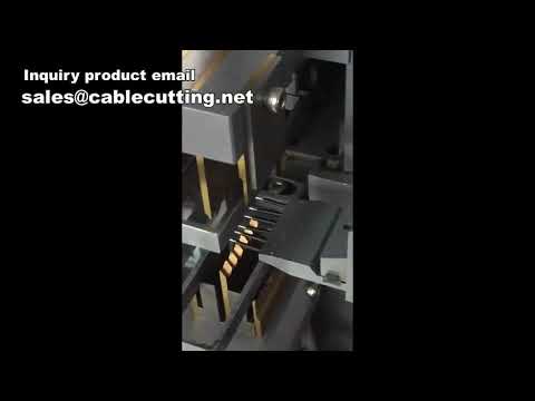 Fully Automatic Computer Wire Tinning Cutting and Stripping Machine with 5-Line Twist and Dip Tin