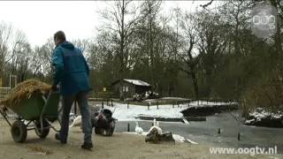 Wethouder Jan Seton Schept Stro