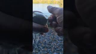 solid pva bag