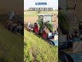 The Hidden Costs of Ploughing