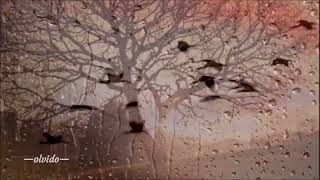 rüya - ışıl ayman