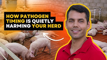 Inside the Dynamic Pig Health Project - Dr. Guilherme Cezar