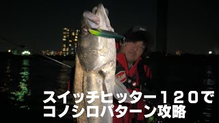 【実釣動画】スイッチヒッター１２０大活躍！！コノシロが遠いなら飛距離が出るルアーで攻略！