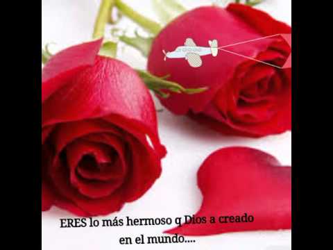 Buenos dias mi reina Buenos Dias Mi Reina Hermosa