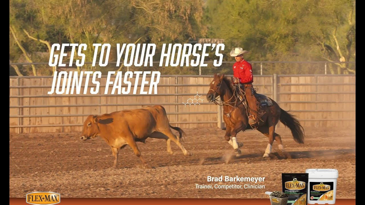 Flex+Max Equine Joint Supplement Pellets