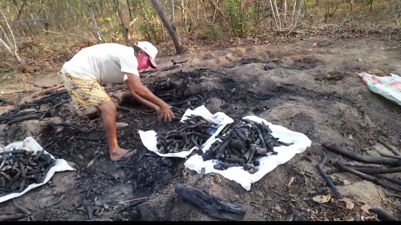 HOJE FUI MOSTRAR O ZE PEQUENO TIRANDO O CARVÃO