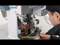 Straight-feed Terminal Stripping and Crimping Machine