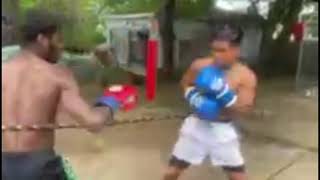 Backyard boxing!! Action fights!!
