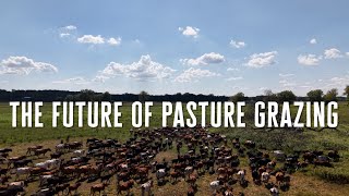 Hard Grazing & It's Incredible Regenerative Benefits