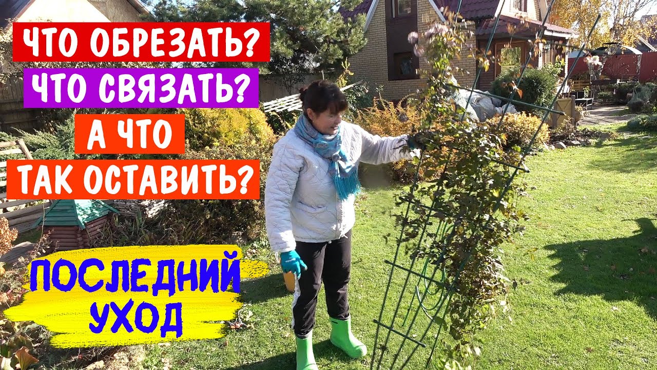 25 октября 2024г. РЕЖУ ВСЁ! Не умеете? Присоединяйтесь! Научу!