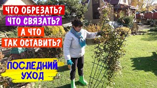 картинка: 25 октября 2024г. РЕЖУ ВСЁ! Не умеете? Присоединяйтесь! Научу!