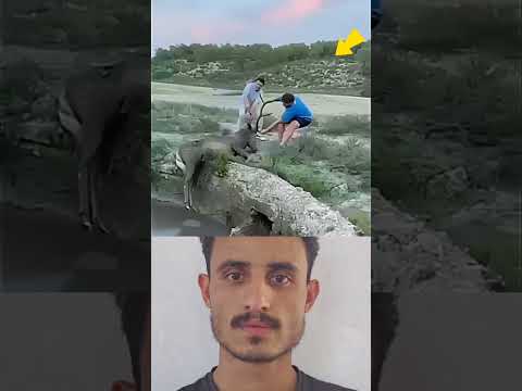 عندما تمتد اليد لإنقاذ مخلوق ضعيف تمتد الرحمة من القلب قبل أن تمتد من الجسد 