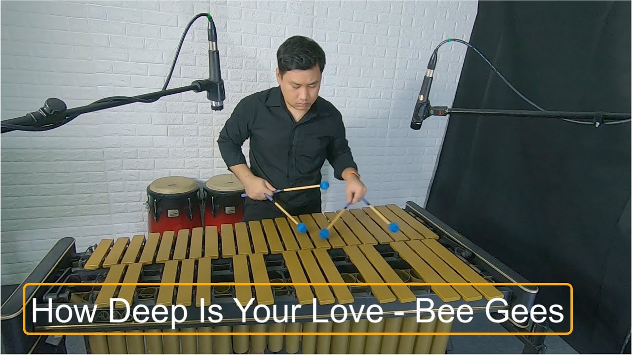 How Deep Is Your Love | Bee Gees | Vibraphone Cover by ToffyVibes