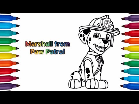 Video: Bagaimana marshall dari paw patrol?
