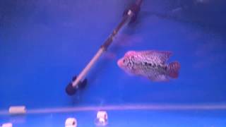 20130720_170604.mp4
