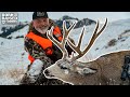 HUGE Montana Mule Deer DOWN!!!