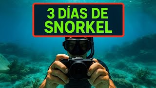 3 DÍAS de SNORKEL: Lubinas Cazando, Lisa Mutante y Más! 🐟