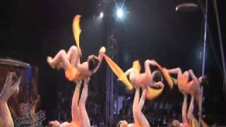 UniverSoul Circus 2010 - We Play Too Much!