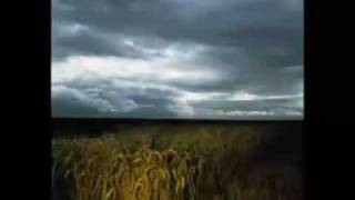 DM-The Sun & The Rainfall (Cyborg RMX)