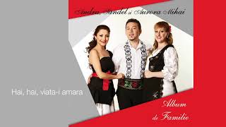 Andra, Mihai Sandel si Aurora - Hai, hai, viata-i amara (Official Audio)