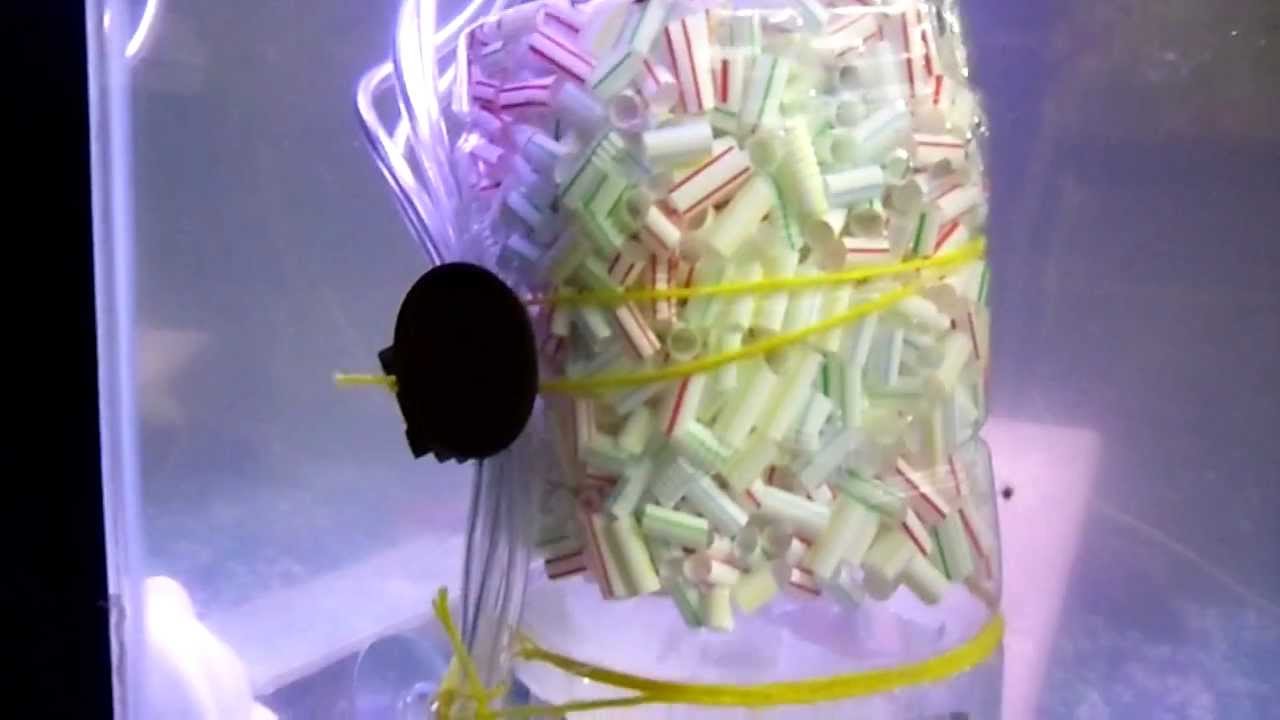Diy Moving Bed Filter 2 You