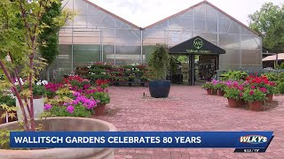 Wallitsch Gardens in Louisville celebrates 80 years in business