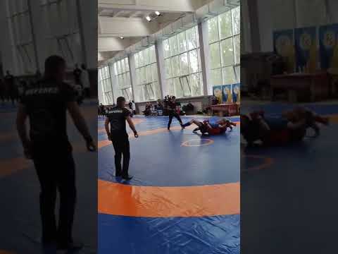 Чемпионат мира по панкратиону